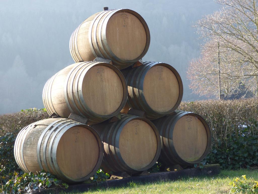 Relaxen Im Alten Winzerhaus Fewo Og ريتش المظهر الخارجي الصورة